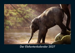 Cover-Bild zum Titel 'Der Elefantenkalender 2027 Fotokalender DIN A5' von 'Tobias Schmitt, Kevin Heber'