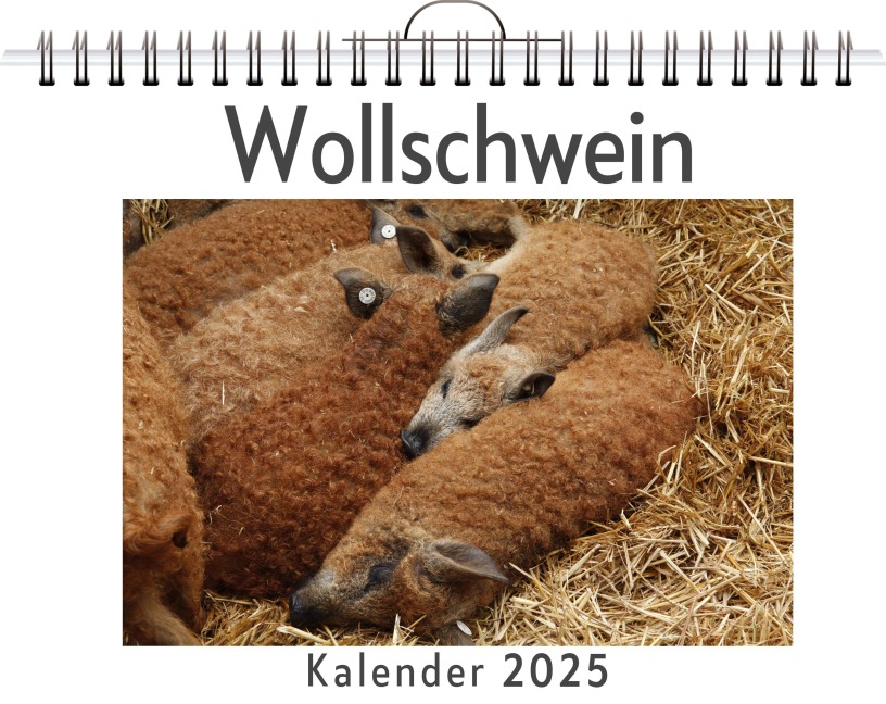 Wollschwein - Lily Frank