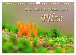 Cover-Bild zum Titel 'Die bunte Welt der Pilze (Wandkalender 2026 DIN A4 quer), CALVENDO Monatskalender' von 'LianeM LianeM'