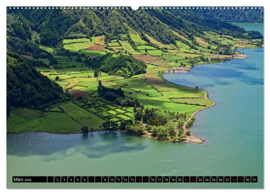 InsideView 7