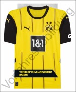 Cover-Bild zum Titel 'BVB Trikotkalender 2026' von ''