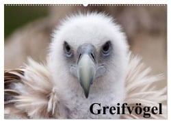 Cover-Bild zum Titel 'Greifvögel (Wandkalender 2026 DIN A2 quer), CALVENDO Monatskalender' von 'Elisabeth Stanzer'