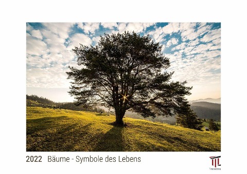 Bäume - Symbole des Lebens 2022 - White Edition - Timokrates Kalender, Wandkalender, Bildkalender - DIN A4 (ca. 30 x 21 cm) - 