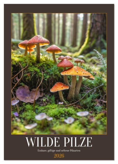 WILDE PILZE - Essbare, giftige und seltene Pilzarten (Wandkalender 2026 DIN A2 hoch), CALVENDO Monatskalender - Mb Fotografie