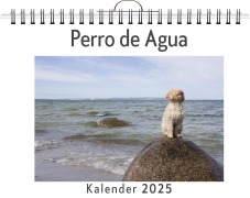 Cover-Bild zum Titel 'Perro de Agua' von 'Amelia Richter'