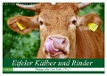 Eifeler Kälber und Rinder (Wandkalender 2024 DIN A3 quer), CALVENDO Monatskalender - Jean-Louis Glineur