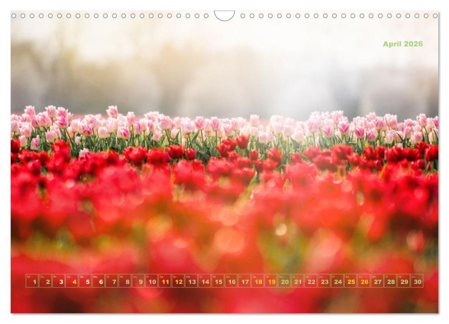 InsideView 9