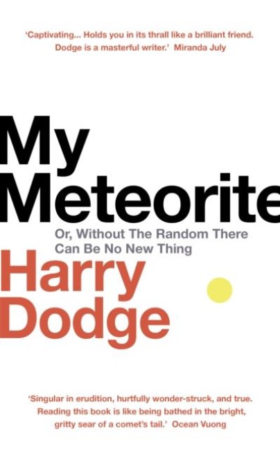 My Meteorite - Harry Dodge