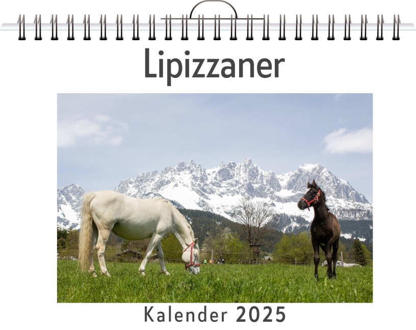 Lipizzaner - Olivia Horn