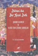 Cover-Bild zum Titel 'Divanda Bir Kizil Deli' von 'Aysegül Akdemir'
