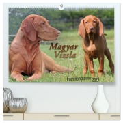Cover-Bild zum Titel 'Familienplaner - Magyar Vizsla (hochwertiger Premium Wandkalender 2027 DIN A2 quer), Kunstdruck in Hochglanz' von 'Barbara Mielewczyk'