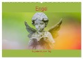 Engel - Begleiter für jeden Tag (Wandkalender 2025 DIN A2 quer), CALVENDO Monatskalender - Fotodesign Verena Scholze