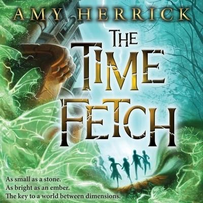 The Time Fetch Lib/E - Amy Herrick