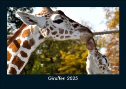 Cover-Bild zum Titel 'Giraffen 2025 Fotokalender DIN A5' von 'Tobias Becker'