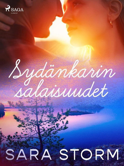 Sydänkarin salaisuudet - Sara Storm