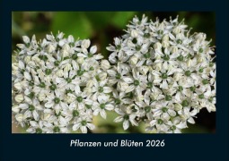 Cover-Bild zum Titel 'Pflanzen und Blüten 2026 Fotokalender DIN A4' von 'Tobias Becker'