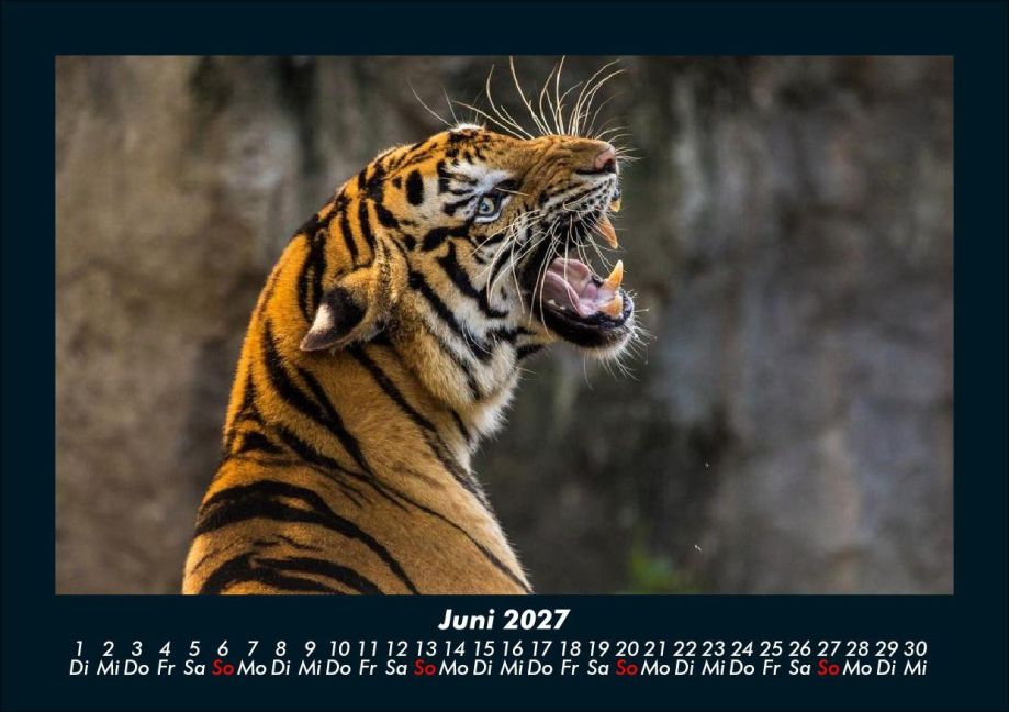 InsideView 10