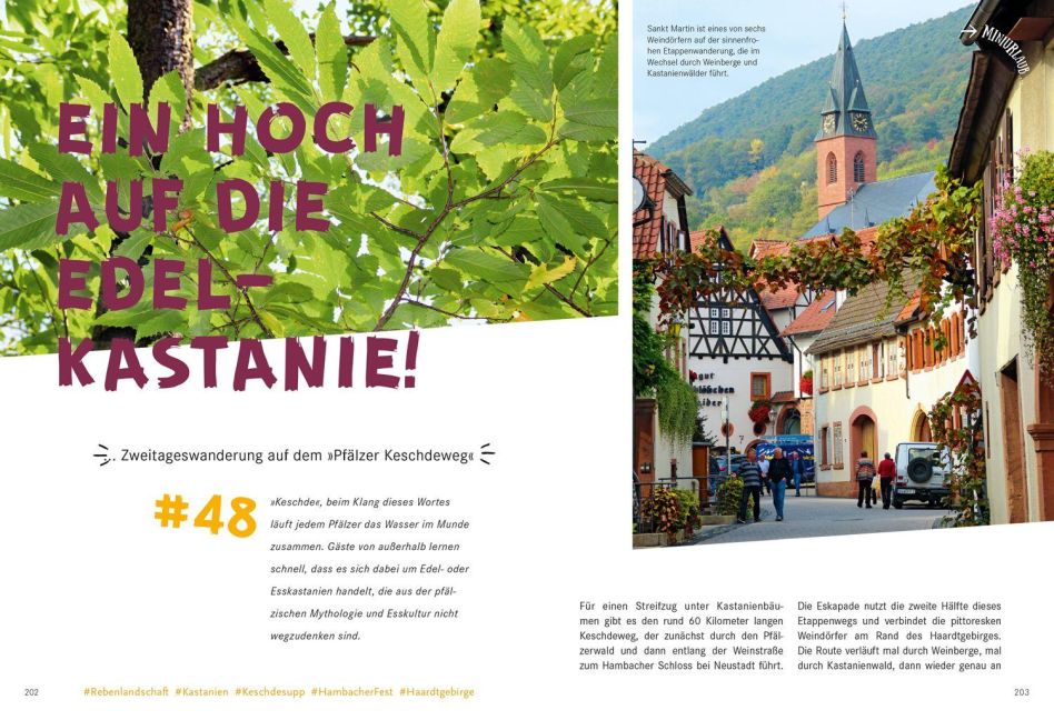 InsideView 13