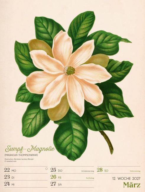 InsideView 16