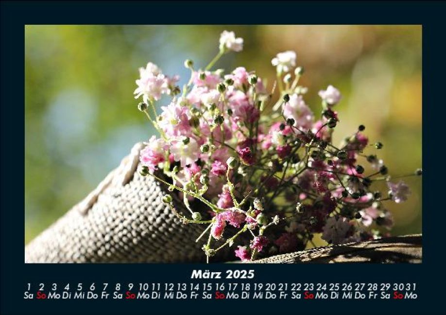 InsideView 7