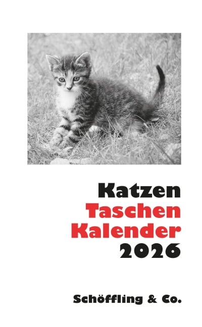 Katzen Taschenkalender 2026 - Julia Bachstein
