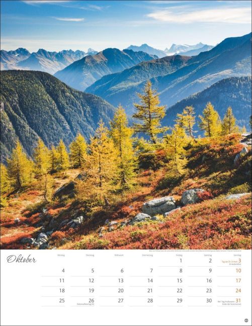 InsideView 10