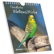 Niedliche Wellensittiche 2026 - Postkartenkalender 16x17 cm - Budgies - zum Aufstellen oder Aufhängen - Monatskalendarium - Gadget - Mitbringsel - Alpha Edition - 