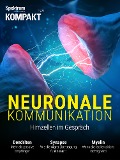 Cover-Bild zum Titel 'Spektrum Kompakt - Neuronale Kommunikation' von 'Spektrum der Wissenschaft Verlagsgesellschaft'