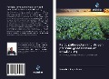 Cover-Bild zum Titel 'Participatieve planning als een pad naar goed bestuur en ontwikkeling' von 'Paulo Domingos Bene'