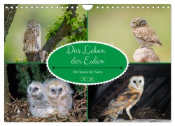 Cover-Bild zum Titel 'Das Leben der Eulen, die Damen der Nacht (Wandkalender 2026 DIN A4 quer), CALVENDO Monatskalender' von 'Alain Gaymard'