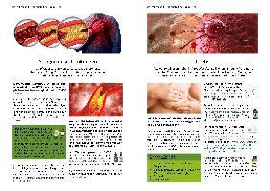 InsideView 13