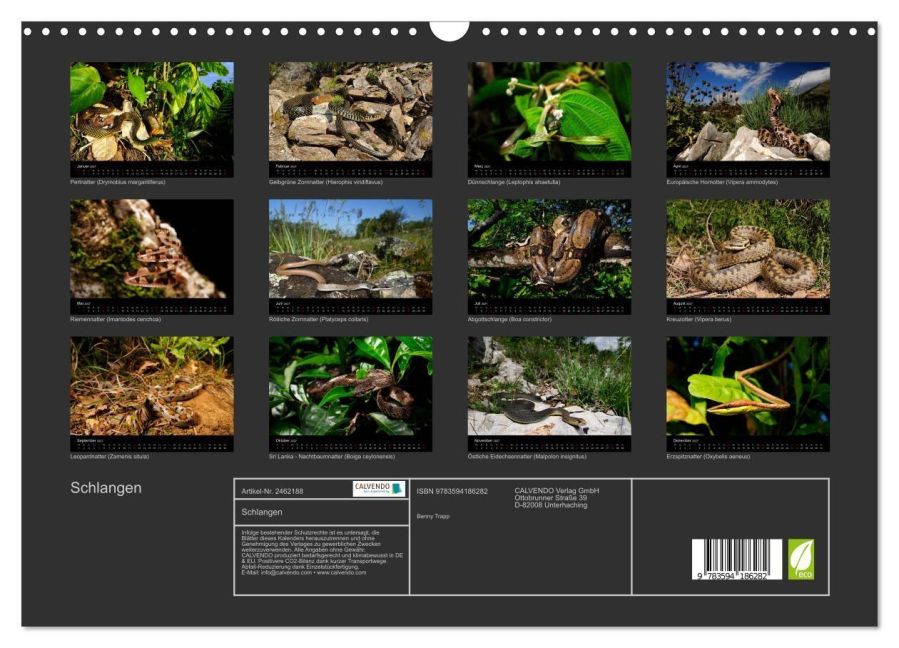 InsideView 5