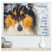 Collies - Eine Liebe für immer und ewig (hochwertiger Premium Wandkalender 2026 DIN A2 quer), Kunstdruck in Hochglanz - Sigrid Starick