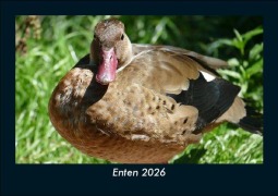 Cover-Bild zum Titel 'Enten 2026 Fotokalender DIN A5' von 'Tobias Becker'