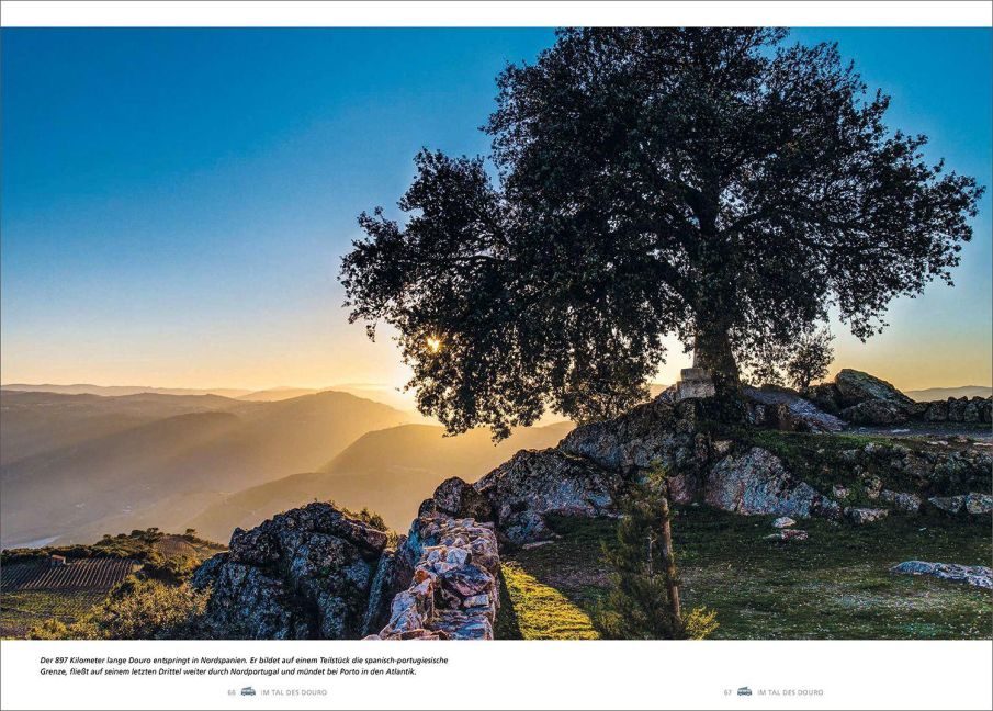 InsideView 4