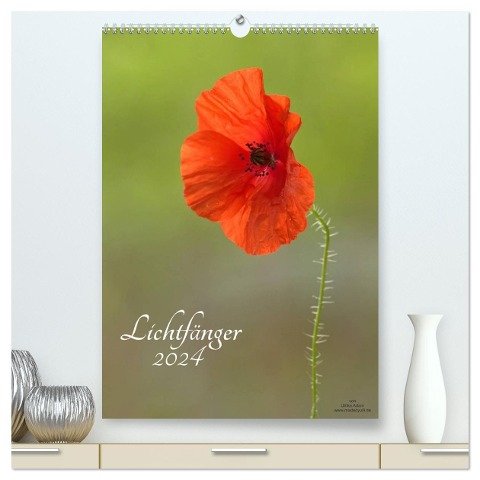 Lichtfänger (hochwertiger Premium Wandkalender 2024 DIN A2 hoch), Kunstdruck in Hochglanz - Ulrike Adam