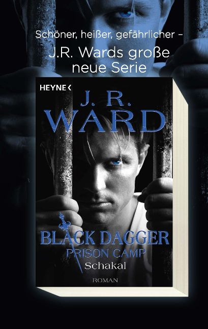 InsideView 2