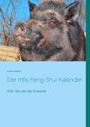 Cover-Bild zum Titel 'Der Infis Feng Shui Kalender' von 'André Pasteur'