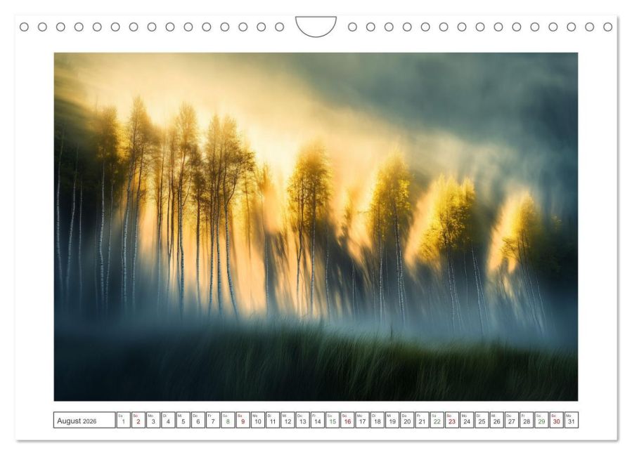 InsideView 13