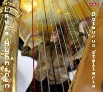 Cover-Bild zum Titel 'Hynninen: Botaurus Stellaris' von 'Laura Hynninen'