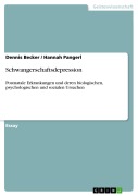 Cover-Bild zum Titel 'Schwangerschaftsdepression' von 'Dennis Becker, Hannah Pangerl'