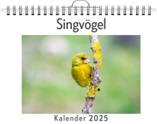 Cover-Bild zum Titel 'Singvögel' von 'Linus Schubert'