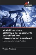 Cover-Bild zum Titel 'Modellizzazione statistica dei giacimenti petroliferi non convenzionali americani' von 'Venkat Pranesh'