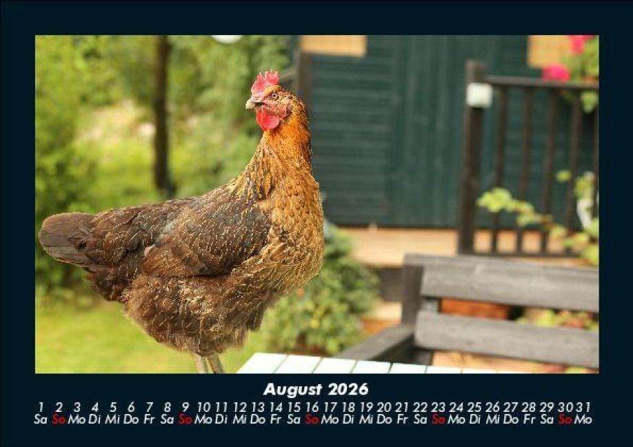 InsideView 12