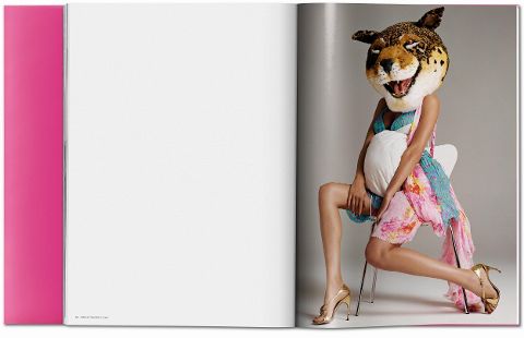 InsideView 18