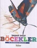 Cover-Bild zum Titel 'Yasam Dolu Böcekler' von 'Kolektif'