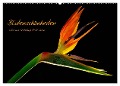 Blütenschönheiten (Wandkalender 2025 DIN A2 quer), CALVENDO Monatskalender - Beate Goerz