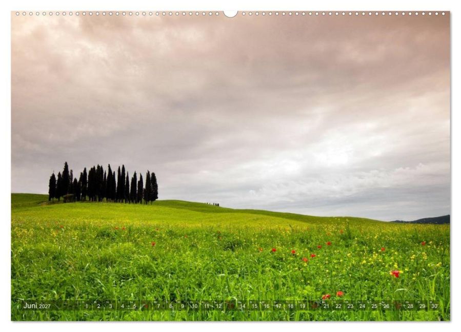 InsideView 10