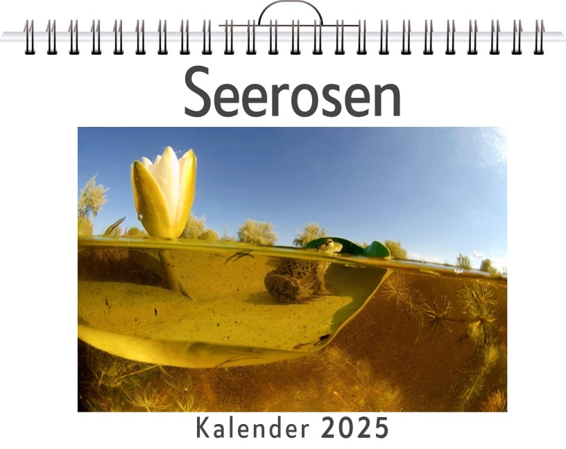 Seerosen - Matteo Zimmermann