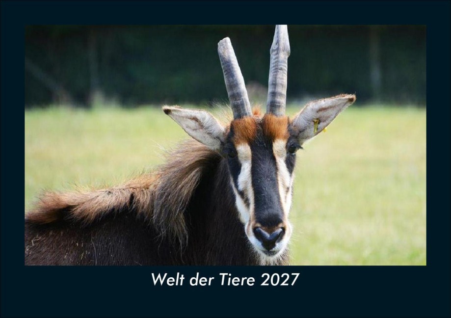 Welt der Tiere 2027 Fotokalender DIN A5 - Tobias Schmitt, Kevin Heber